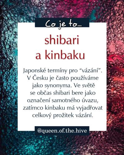 shibari-kinbaku